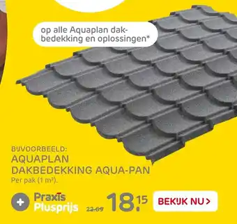 Praxis Aquaplan dakbedekking aqua-pan aanbieding