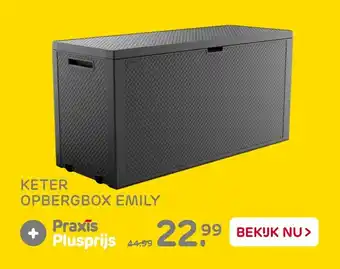 Praxis Keter opbergbox emily aanbieding