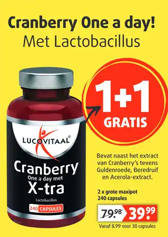 Lucovitaal Cranberry one a day met lactobacillus aanbieding