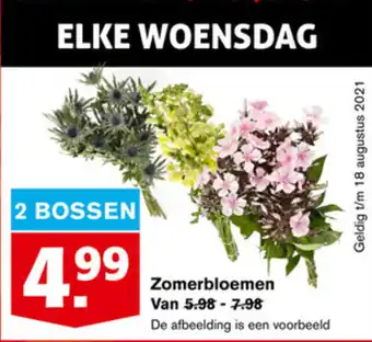 Hoogvliet Zomerbloemen 2 st aanbieding