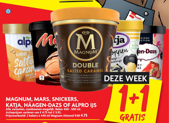 Dekamarkt Diverse ijs aanbieding