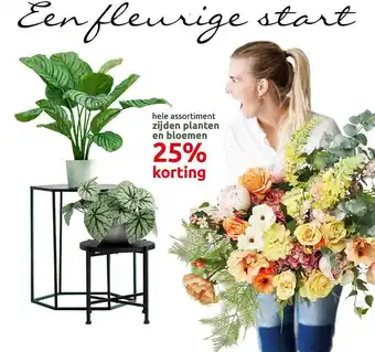 Deka Tuin Zijden planten en bloemen aanbieding