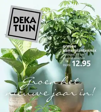 Deka Tuin Groene kamerplantenmix aanbieding