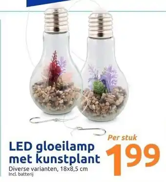 Action LED gloeilamp met kunstplant aanbieding