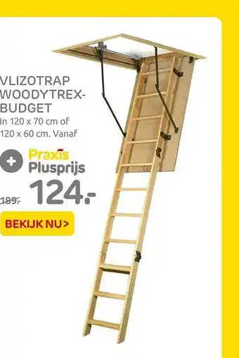 Praxis Vlizotrap woodytrexbudget aanbieding