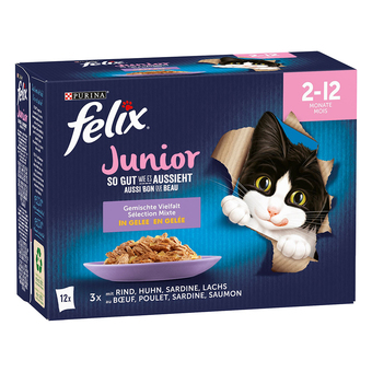 Zooplus 12x100g elke dag feest junior mix in gelei mix selectie felix kattenvoer aanbieding