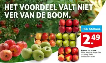 Hoogvliet Appels op schaal aanbieding