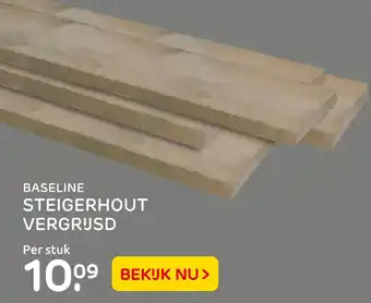 Praxis Baseline Steigerhout Vergrusd aanbieding