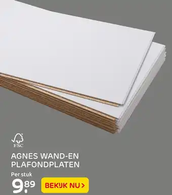 Praxis Agnes Wand-En Plafondplaten aanbieding