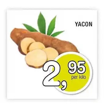 Amazing Oriëntal Yacon aanbieding