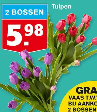 Hoogvliet Tulpen aanbieding