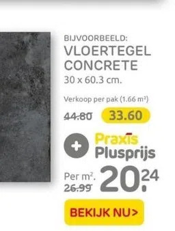 Praxis Vloertegel concrete aanbieding