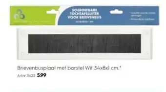 Blokker Brievenbusplaat met borstel wit 34 x 8 x 1cm Artnr. 11423 aanbieding