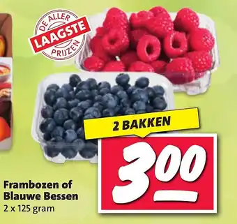 Nettorama Frambozen of blauwe bessen aanbieding