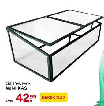 Praxis Central Park Mini Kas aanbieding