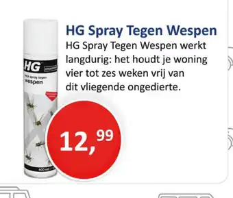 Handyman HG Spray Tegen Wespen aanbieding