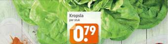 Dagwinkel Kropsla aanbieding