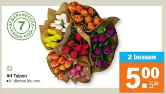 Albert Heijn Tulpen 2 bossen aanbieding