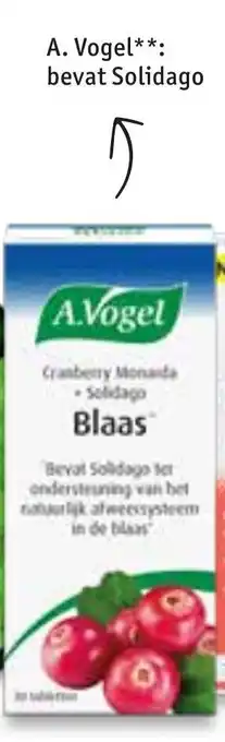 Kruidvat A.Vogel bevat solidago aanbieding