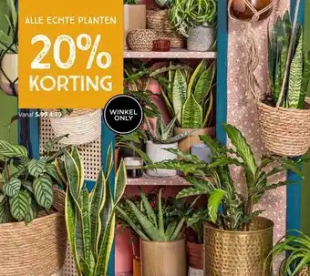 Xenos Alle echte planten aanbieding