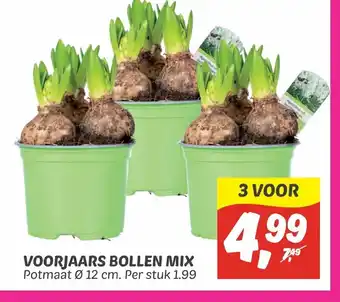 Dekamarkt Voorjaars bollen mix potmaat 12cm per 3 aanbieding