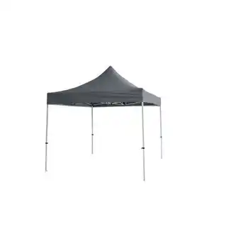 Praxis Central park dak voor partytent quick up pro antraciet 300x300cm aanbieding