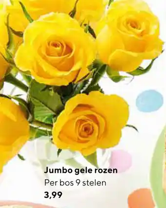 Jumbo Jumbo Gele rozen aanbieding