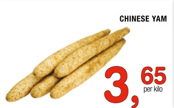 Amazing Oriëntal Chinese Yam aanbieding