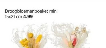 Xenos Droogbloemenboeket aanbieding