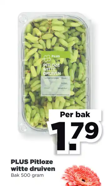 PLUS PLUS Pitloze witte druiven 500 gram aanbieding