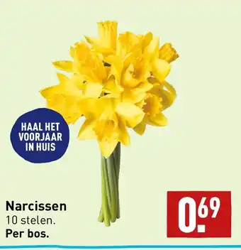 ALDI Narcissen 10 stelen aanbieding