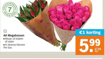 Albert Heijn AH Megabossen aanbieding