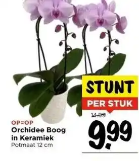 Vomar Voordeelmarkt Orchidee boog in keramiek aanbieding