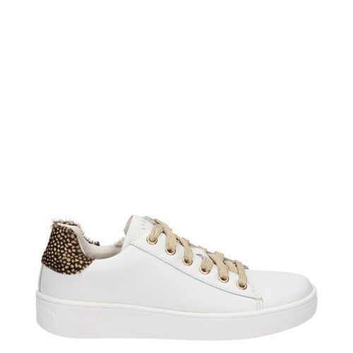 Nelson kids lage sneakers aanbieding bij Nelson Schoenen