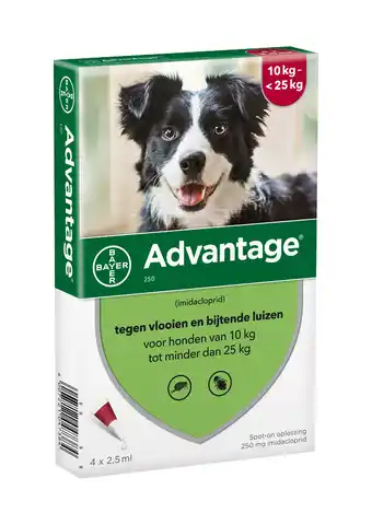 Zooplus 2 x 4 pipetten advantageâ® 250 voor honden van 10 kg tot minder dan 25 kg - dubbelpak aanbieding