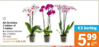 Albert Heijn AH Orchidee 2-takker of 3-takker aanbieding