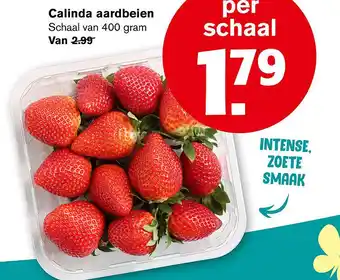 Hoogvliet Calinda aardbeien 400gram aanbieding