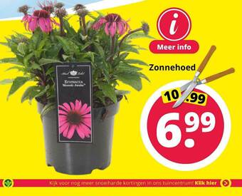 GroenRijk Zonnehoed aanbieding