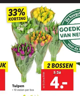 Lidl Tulpen 2 bossen aanbieding