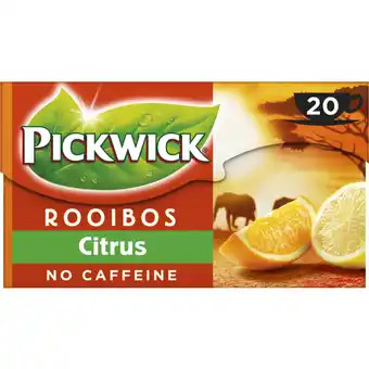 Albert Heijn Pickwick citrus rooibos thee no caffeine aanbieding