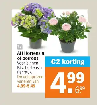 Albert Heijn Hortensia of potroos aanbieding