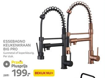 Praxis Essebagno keukenkraan big pro aanbieding