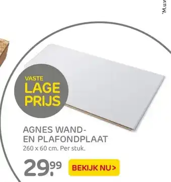 Praxis Agnes wand- en plafondplaat aanbieding