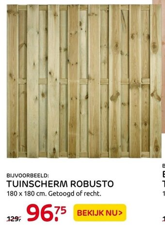 Praxis Tuinscherm robusto aanbieding