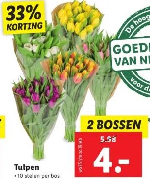 Tulpen aanbieding bij Lidl