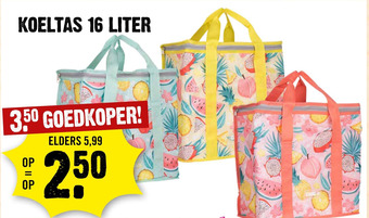 Dirck 3 KOELTAS 16 LITER aanbieding