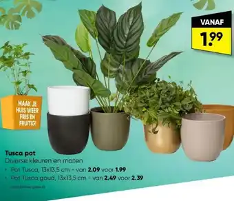 Big Bazar Tusca pot aanbieding