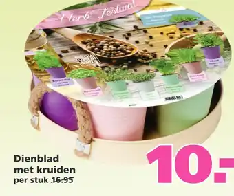 Ranzijn Dienblad met kruiden aanbieding