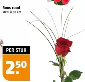 Poiesz Roos rood aanbieding