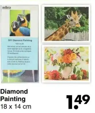 Wibra Diamond painting 18 x 14 cm aanbieding